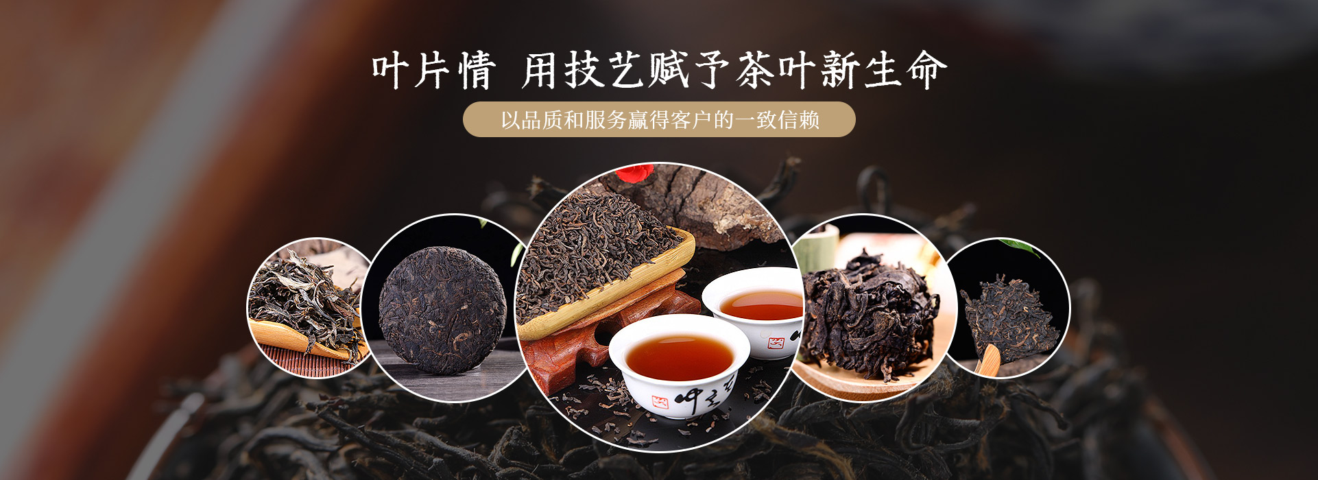 云南普洱茶廠家,專注普洱茶批發定制